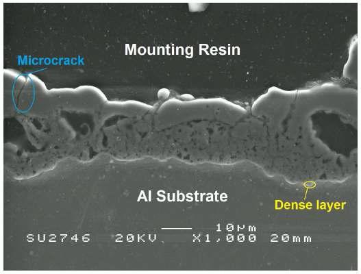 SEM micrograph of cross-section morphology of a PEO coating on Al substrate