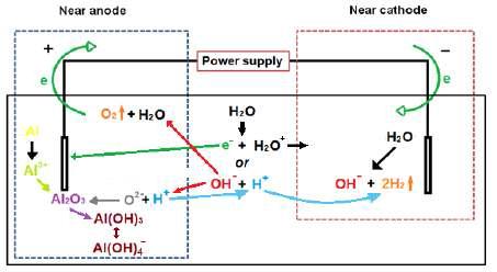 Schematic of simplified chemical reactions during processing of Al in alkaline electrolytes