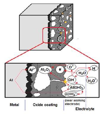 Schematic of chemical reactions at the surface of alumina coating during the PEO process