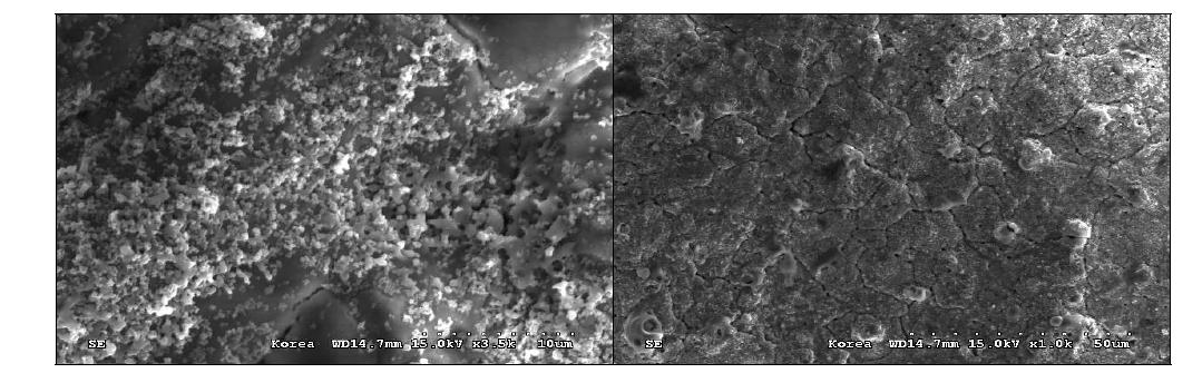TiO2 나노분말이 산화피막의 표면부에 효과적으로 혼입됨을 보여주는 코팅 샘플의 표면부 SEM 분석 사진