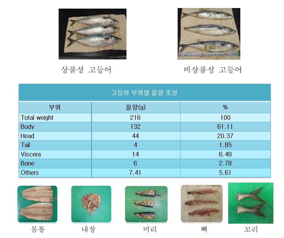 고등어 원료 부위별 질량 조성 비교