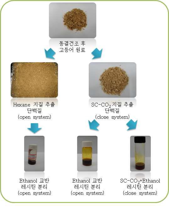 고등어 육으로부터 레시틴 분리 및 회수 과정