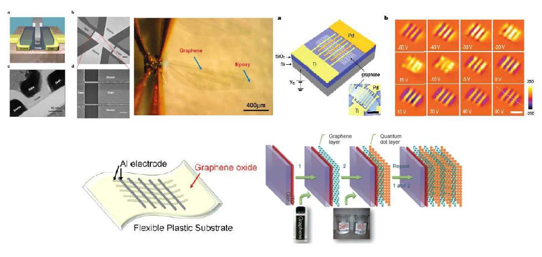 그래핀을 이용한 최근 연구 (좌상부터 순서대로): 초고속 트랜지스터, 그래핀 생체모방 소자, 광검출기, 그래핀 기반 플렉시블 메모리 소자, 태양전지