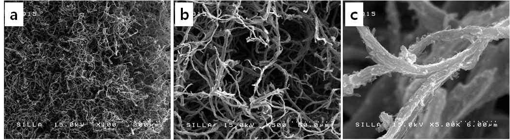 덴드리머 탄소소재의 형상 (a) 100배, (b) 500배, (c) 5,000배의 전자 현미경 사진들