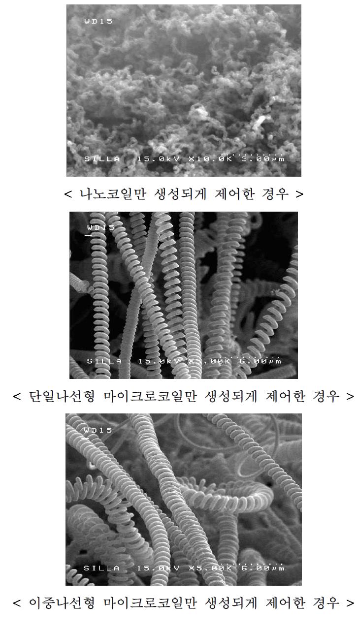 CMC 기하구조 제어 정도 및 직경분포도를 관찰한 전자현미경 사진들