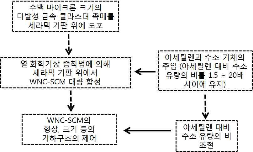 WNC-SCM 제조방법의 모식도