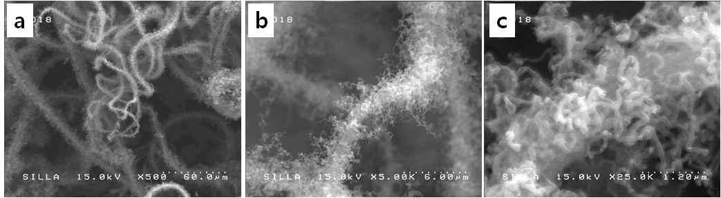 WNC-SCM 형상들을 보여주는 전자현미경 사진들 (a) 500배, (b) 5,000배, (c) 25,000배