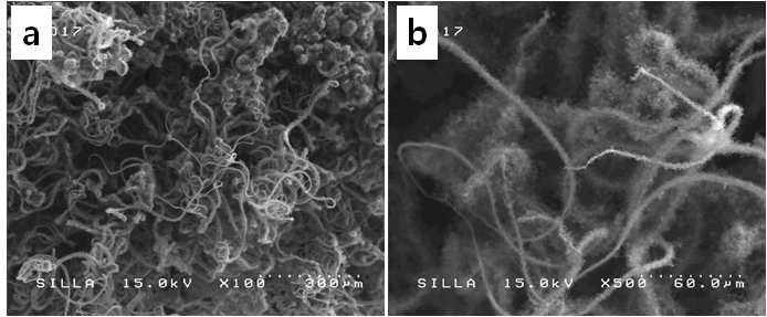 아세틸렌 가스 4sccm, 수소가스 40sccm의 경우 기판상의 전 부위에걸쳐 생성되는 WNC-SCM 형상들을 보여주는 전자현미경 사진들 (a) 100 배, (b) 500배