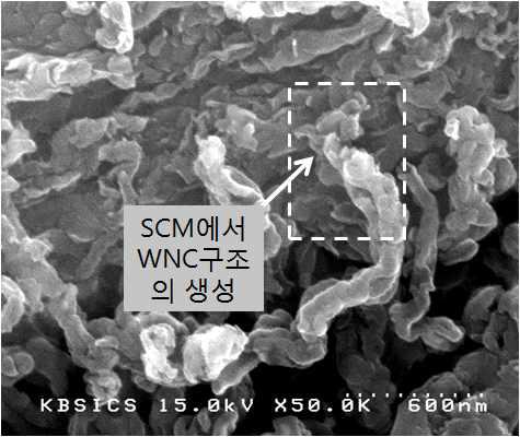 아세틸렌 가스 4sccm, 수소가스 40sccm의 경우 반응시간 10분일 때 SCM 구조에서 WNC 구조가 생성됨을 보여주는 전자현미경 사진 (50,000배)