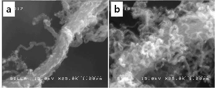 반응시간에 따른 WNC-SCM 구조의 형상 변화를 보여주는 전자현미경 사진들 (25,000배) (a) 반응시간 30분, (b) 반응시간 90분