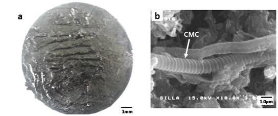 (a) The representative photograph image of the surface for the coated layer on the glass plate and (b) the cross-sectional FESEM images of the coated layer showing the existence of CMCs in PU-CMCs composite
