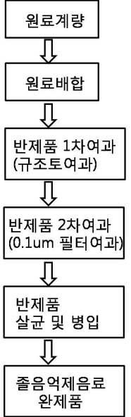 제조 공정