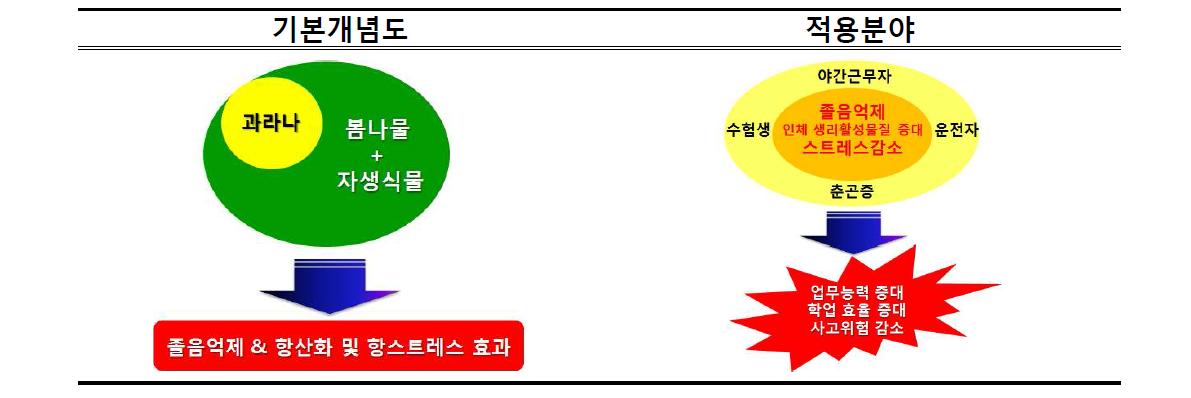 연구의 개념도 및 적용분야