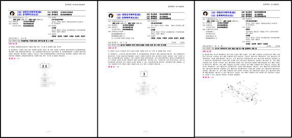 국내 특허 출원