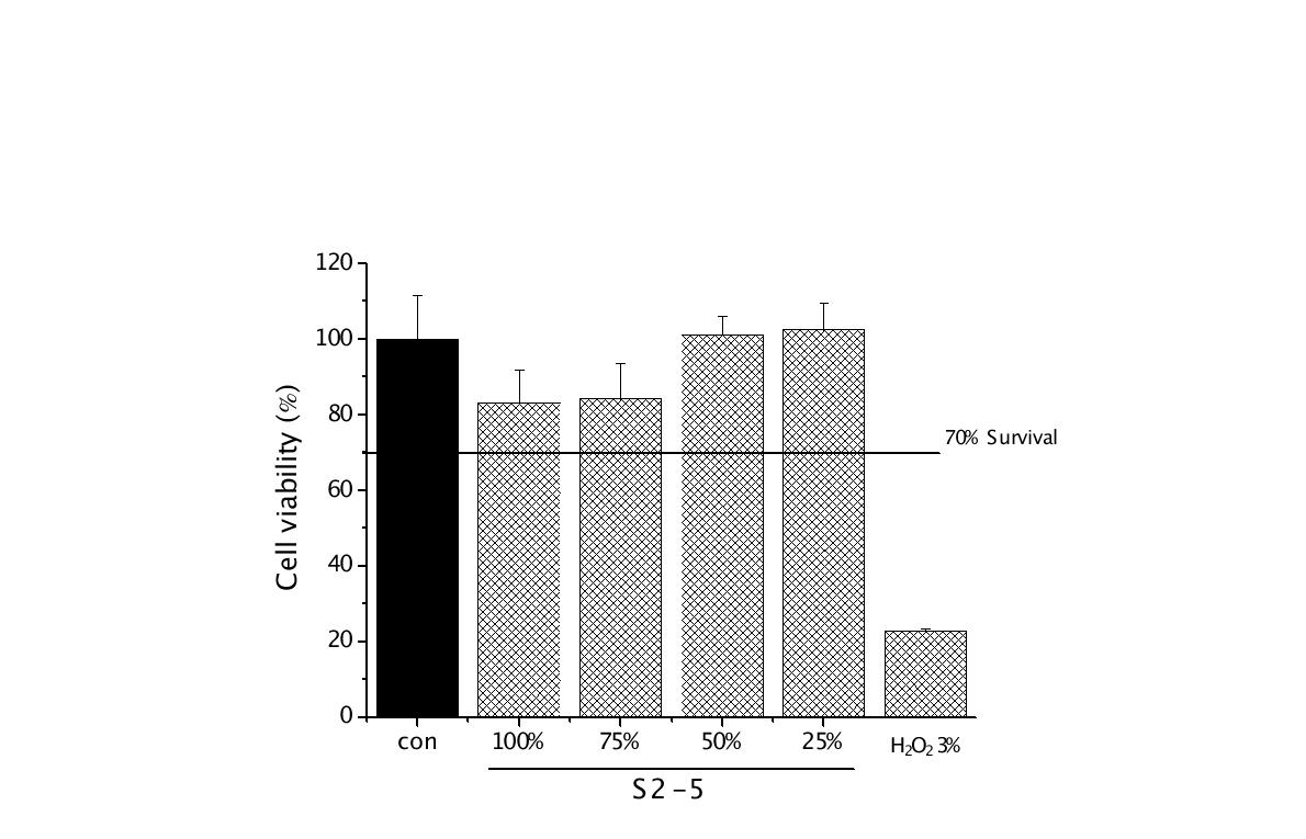 세포독성: L929 세포주에 S2-5의 세포 독성평가