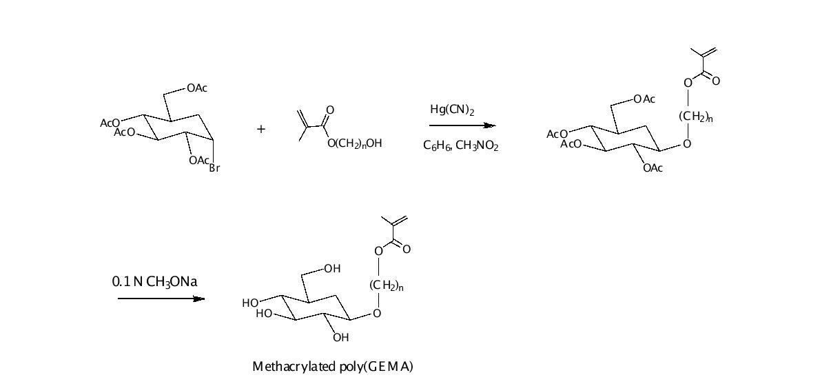 Methacrylated poly(GEMA)의 합성 scheme