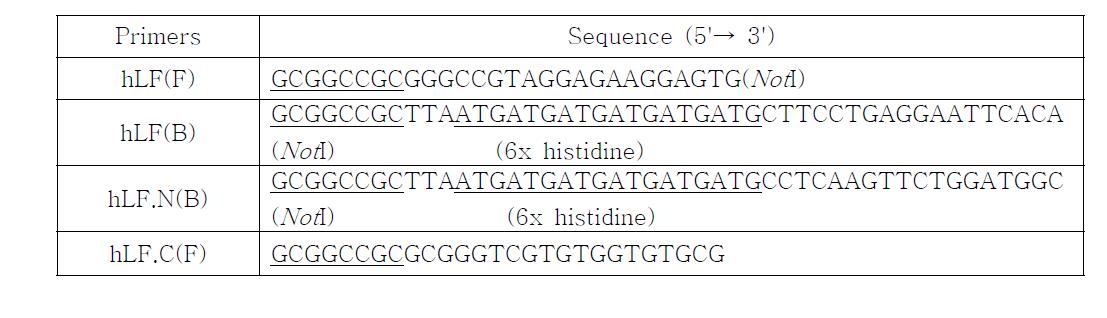 락토페린 full length, 락토페린 N-lobe, 락토페린 C-lobe 증폭에 사용된 프라이머 서열