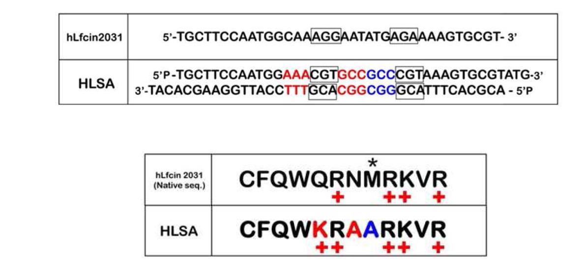 hLfcin 및 HLSA의 DNA 및 아미노산 서열.