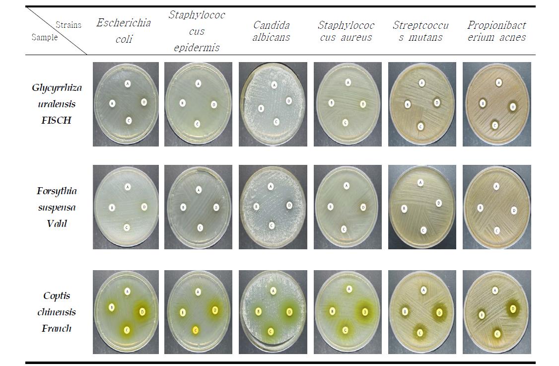 Antimicrobial activity of Glycyrrhiza uralensis FISCH , Forsythia suspensa Vahl, Coptis chinensis Franch on several microorganisms A:0.5% B:1% C:2% D:3%