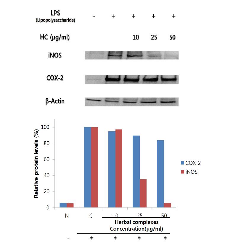 Effects of Herbal complexes on iNOS, COX-2 expression of LPS-stimulated Raw 264.7 macrophage cells