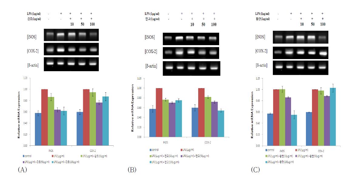 iNOS and COX-2 mRNA expression rates of Glycyrrhiza uralensis FISCH. (A), Forsythia suspensa Vahl. (B) and Coptis chinensis Franch.( C)