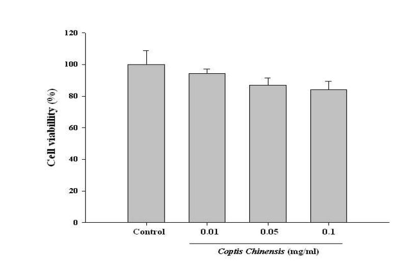 Cell viability of Coptis chinensis Franch