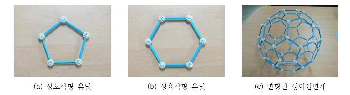 변형된 정20면체(Icosahedron)의 오각형 및 육각형 유닛