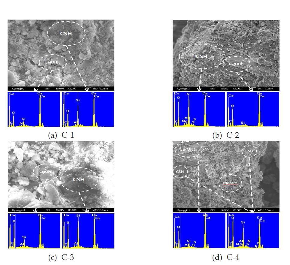 시멘트의 수화생성물 이미지 및 EDX 분석