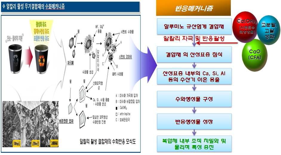 알칼리 활성 콘크리트의 수화반응 메커니즘