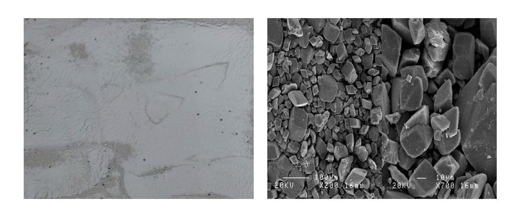 석고 전경 및 SEM 측정결과