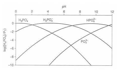 Distribution of phosphorus species with pH.