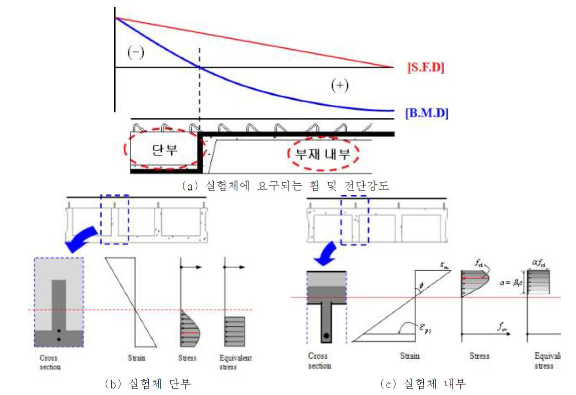 실험체 단부와 내부의 단면해석