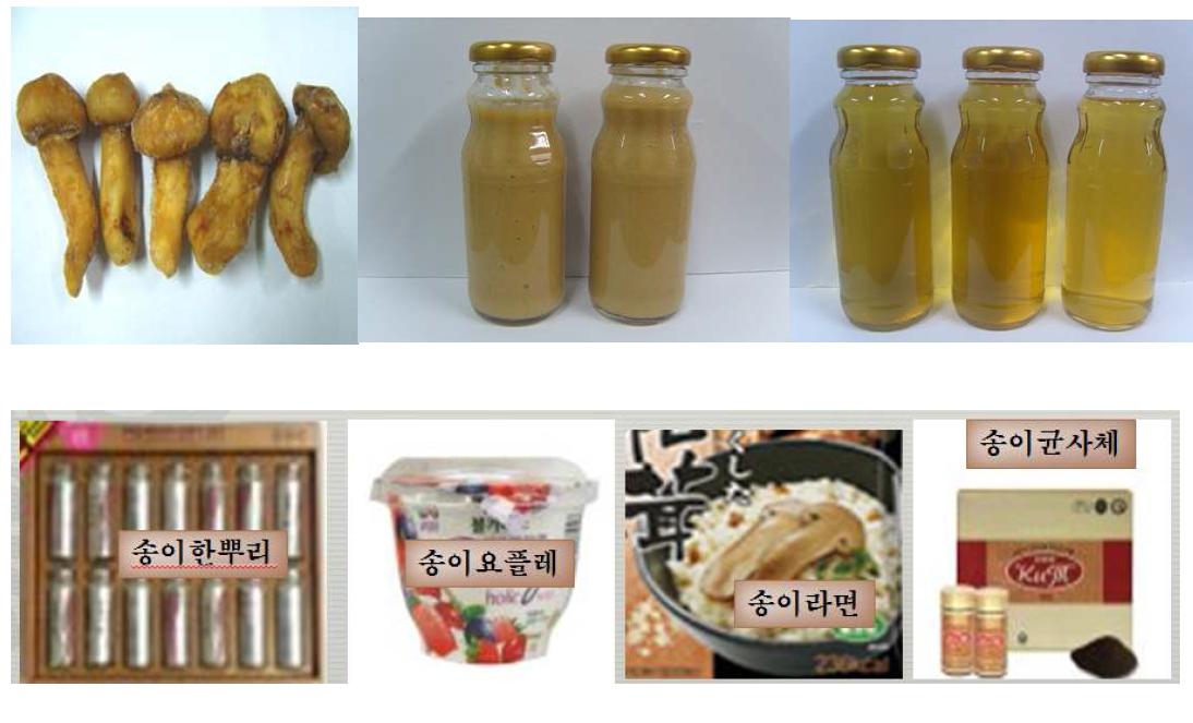 본 사업의 냉동송이버섯, 송이음료, 송이요플레, 송이라면, 및 송이분말