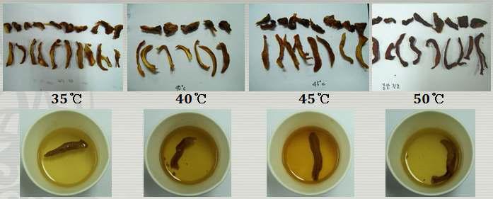 감압조건에서 건조시 처리온도에 따른 송이버섯의 관능성 변화