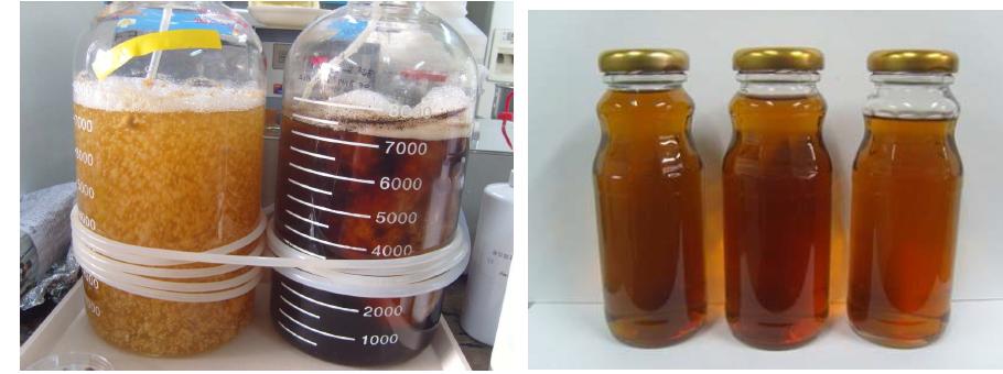 송이버섯 균사체 대량배양(8리터 배양) 및 이를 이용한 송이 음료