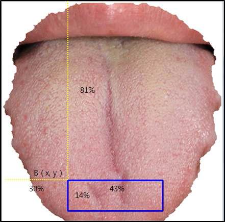 단맛 영역 분할을 위한 좌표 설정