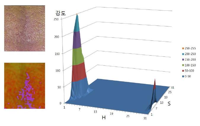 1차 필터링 된 부히위스에토서그 정램상인의 혀 색상 범위를 넘는 히스토그램