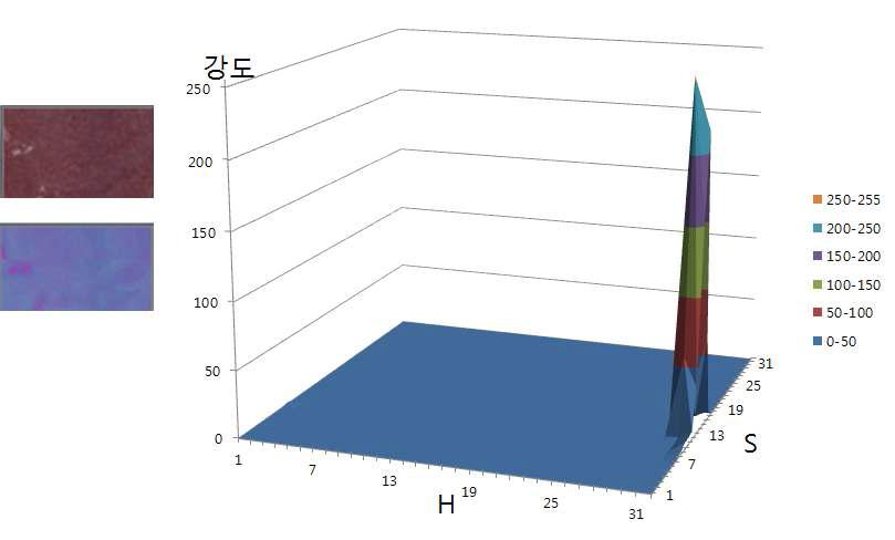 2차 필터링 된 부부위위의에 서히 스색토상그의램 채도가 환자의 기준을 넘는 부위의 히스토그램