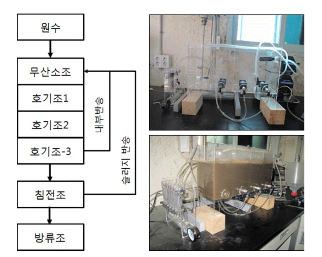 생물학적 주처리 MLE 공정의 처리공정도 및 아크릴 반응기