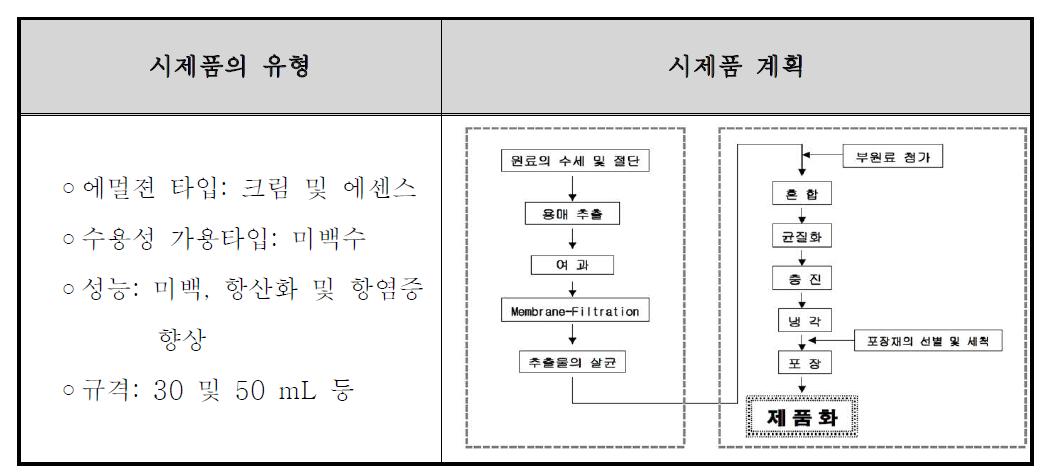 시제품 유형 및 개발 계획