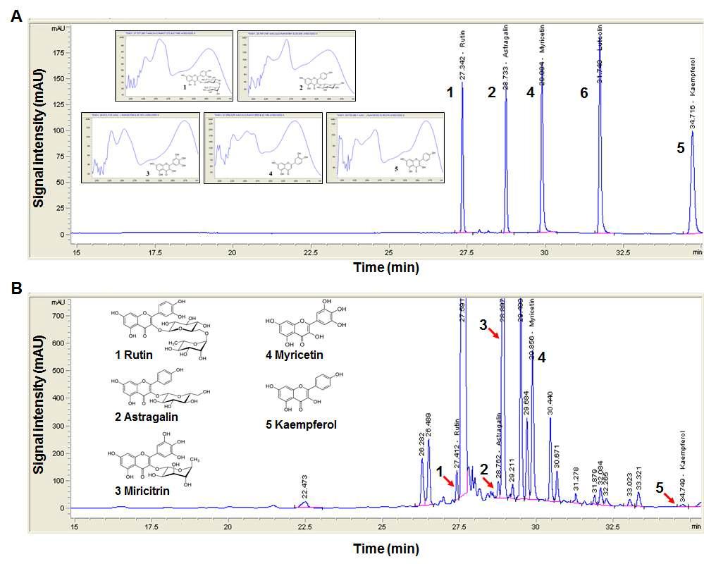 고욤잎 추출물의 EA분획물의 HPLC chromatogram. A: standard mixtures detected at 254 nm; B: EA fraction detected at 254 nm.