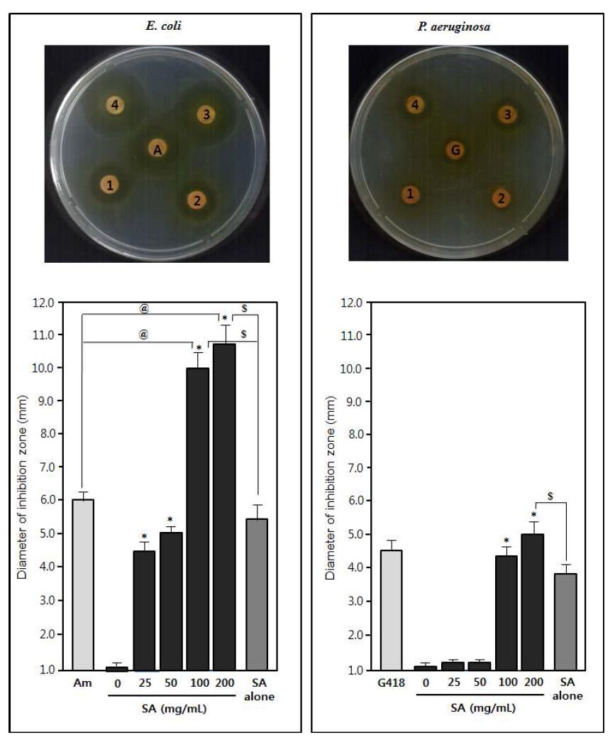 Synergic antimicrobial activity (clear zone: mm) of Scutellariae Radix(SR), Coptidis Rhizoma(CR) and Salicylic Acid(SA) combination against E. coli and P. aeruginosa.