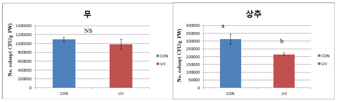 UV-A LED에서 자란 무와 상추의 일반 세균 수