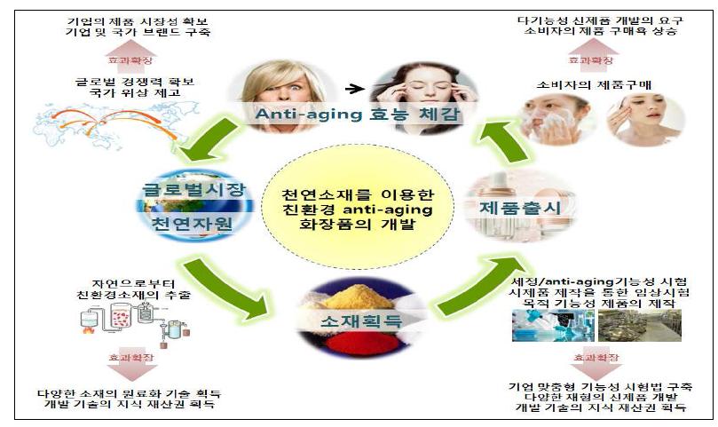 천연소재를 이용한 친환경 anti-aging 화장품 개발 개요도.