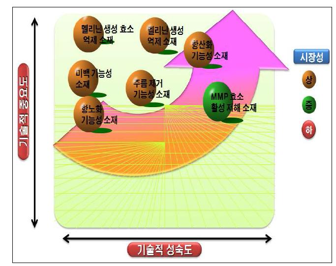 기술개발 목표의 중요도 및 성숙도.