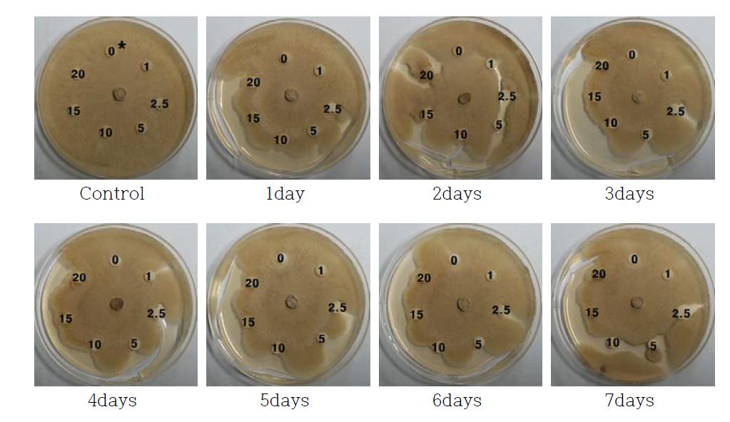 고삼추출물 (SE; Sophora flavescens Solander ex Aiton extracts)을 첨가한 YM 배지에서 SG 균주를 배양 후 Rhizoctonis solani AG-4 KACC 40142에 대한 항진균 활성 확인.