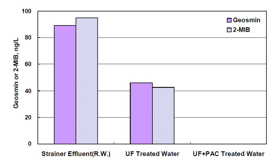 막여과(Dead-end mode) 전・후의 geosmin과 2-MIB 농도 변화