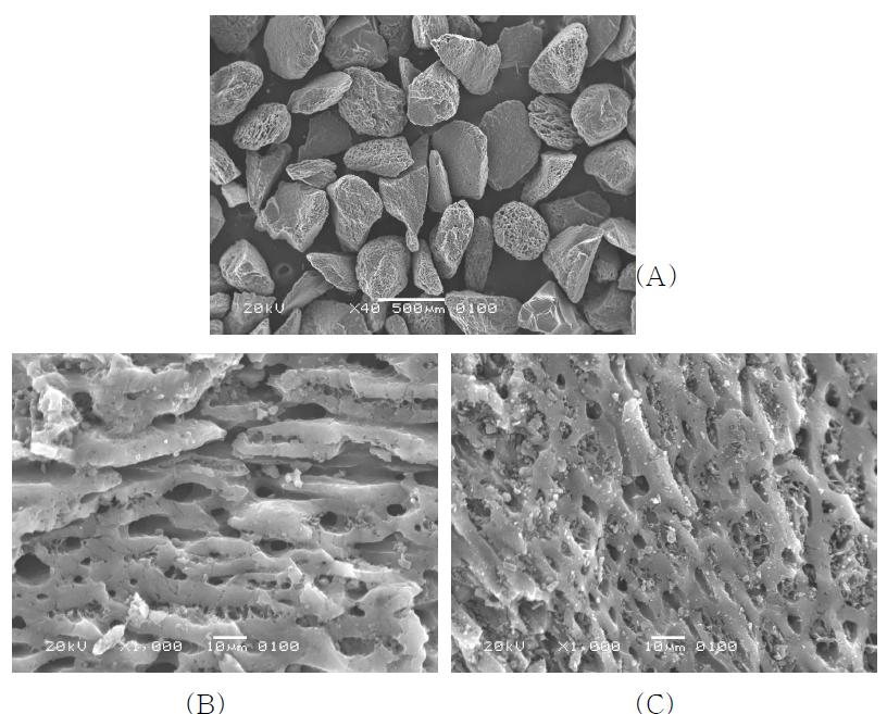 입상활성탄(GAC) 표면 SEM 사진