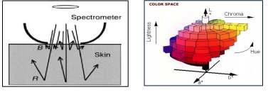 Principle of Spectrophotometer® CM-2500d