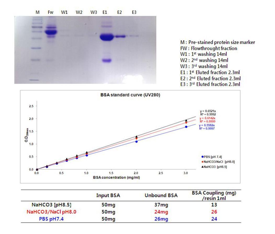 NHS-activated resin에 펩타이드 coupling을 위한 buffer 선별